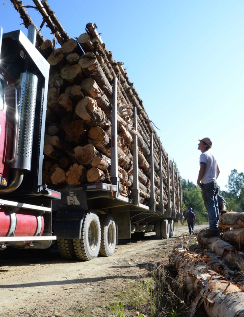 A fully loaded logging truck with freshly cut logs stacked high, as a worker in a hard hat observes from the side on a dirt road.