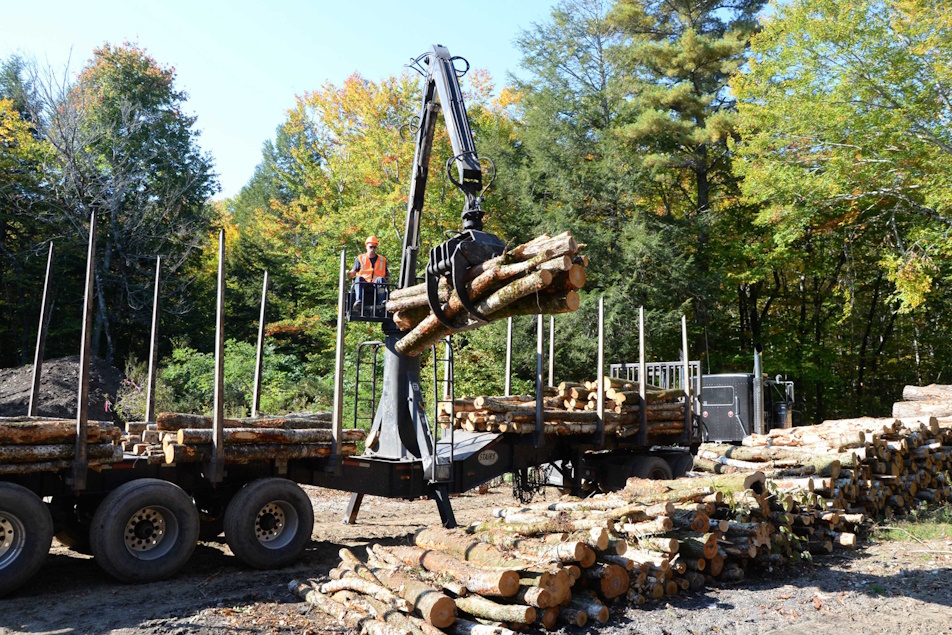 A worker in an orange safety vest operates a mechanical loader, lifting a bundle of freshly cut logs onto a logging truck in a forested area.