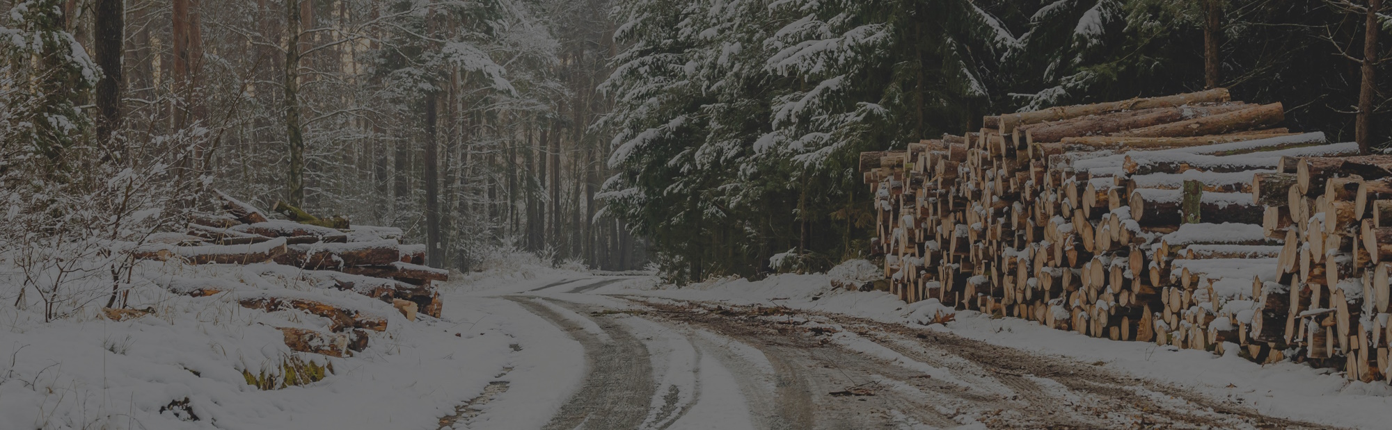 photo of a snowy logging road in the forest with a large stack of logs piled on the right and a smaller stack of logs piled on the left. Has a gray filter over the top.