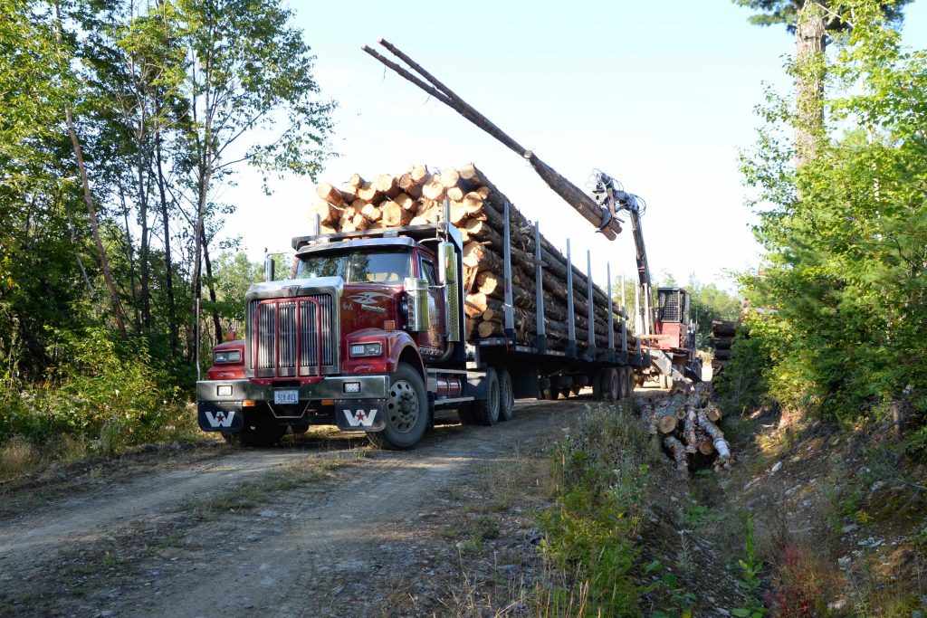 A red logging truck loaded with freshly cut logs on a dirt road in a forest, with a mechanical loader placing additional logs onto the trailer.